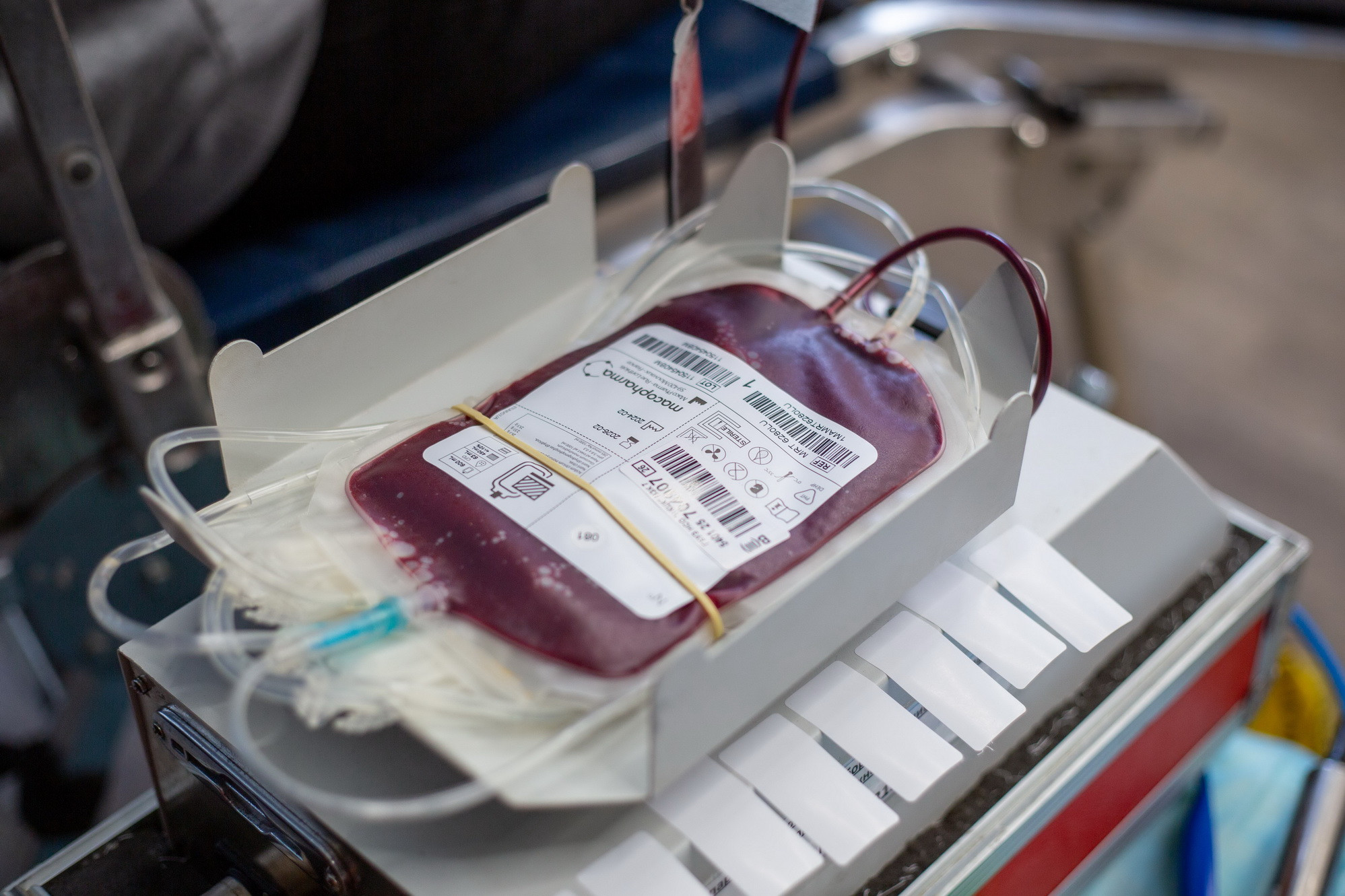 фотография: А. Непомнящих