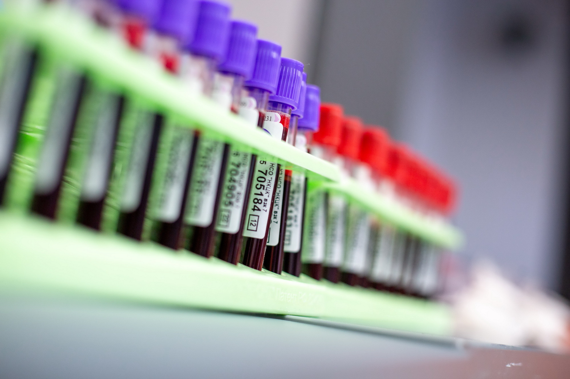 фотография: А. Непомнящих