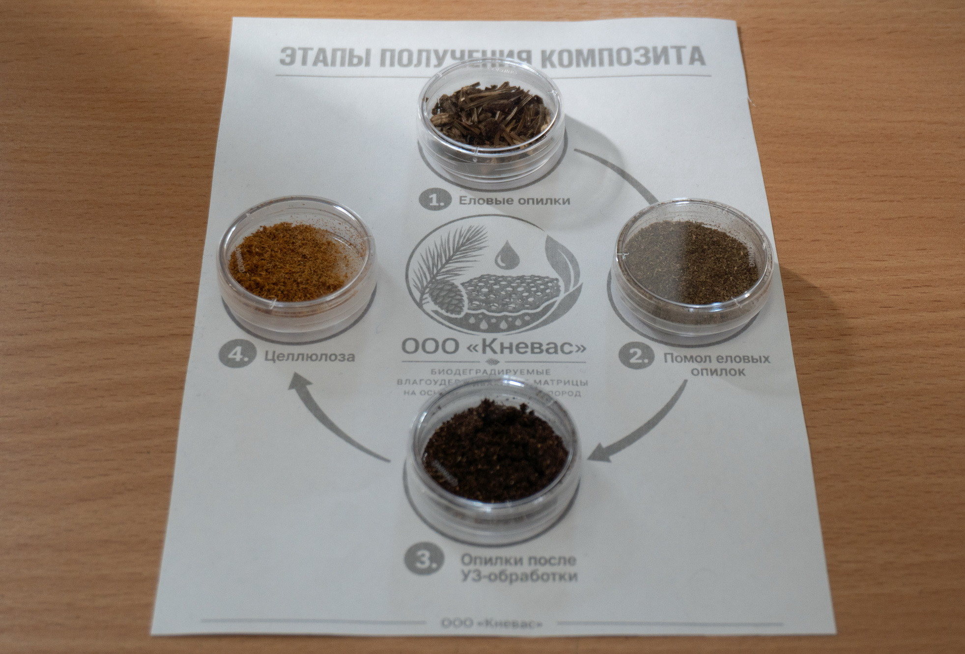 фотография: Ксения Зарубина