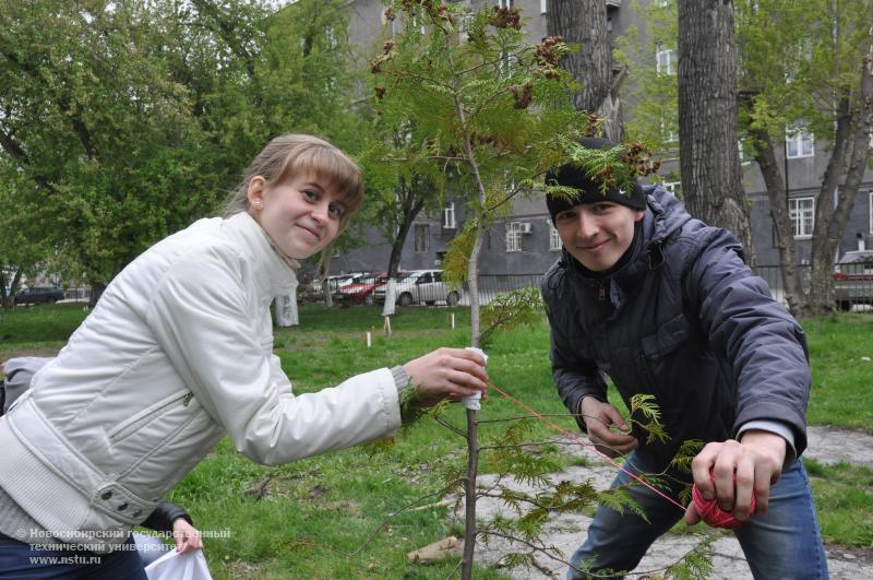 14.05.14     14 мая в студгородке НГТУ пройдет акция в рамках проекта «Парк имени меня», фотография: В. Кравченко