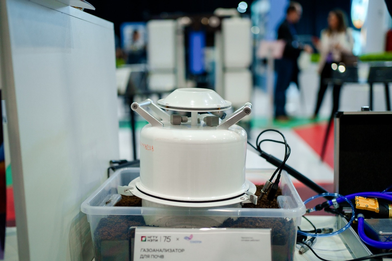 фотография: Дмитрий Фоменков