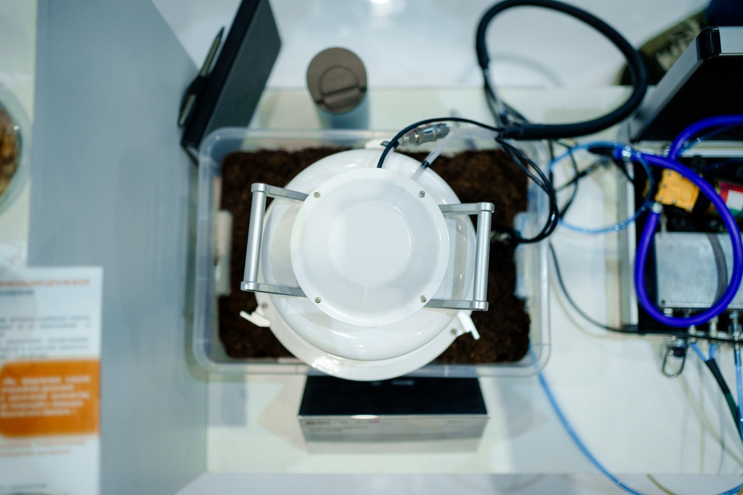 фотография: Дмитрий Фоменков